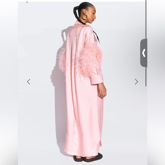 Lapointe Elegant Pink Feather-Trimmed gown - Picture 4 of 5